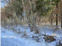 LOT 17 Pine Tree Rd, Monroe, WI 53566