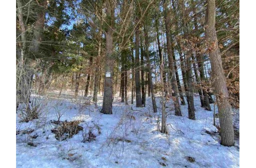 LOT 17 Pine Tree Rd, Monroe, WI 53566