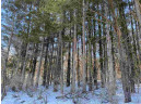 LOT 17 Pine Tree Rd, Monroe, WI 53566