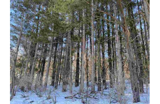 LOT 17 Pine Tree Rd, Monroe, WI 53566