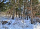 LOT 17 Pine Tree Rd, Monroe, WI 53566