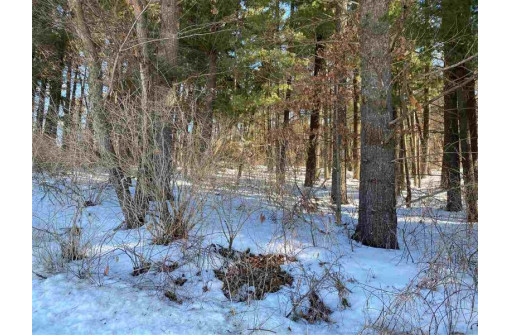 LOT 17 Pine Tree Rd, Monroe, WI 53566