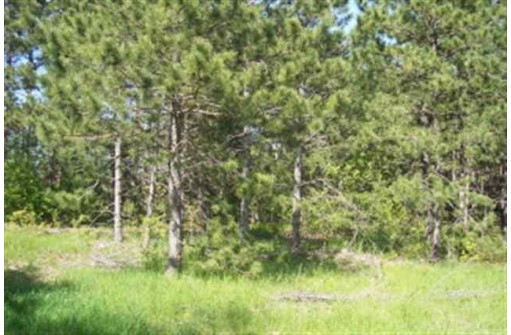 N15894 24th Ave, Nekoosa, WI 54457