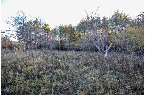 LOT 1 Bowers Lake Rd, Milton, WI 53563