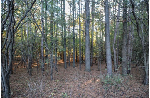 LOT 1 Bowers Lake Rd, Milton, WI 53563