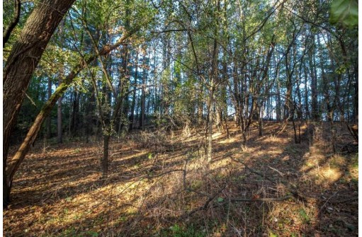 LOT 1 Bowers Lake Rd, Milton, WI 53563