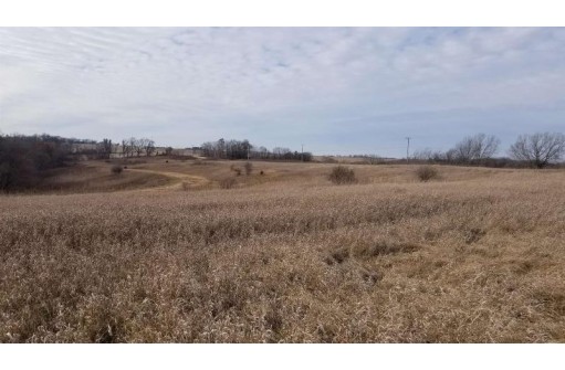 LOT 2 Bruner Rd, Mount Horeb, WI 53593