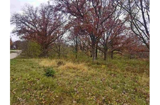 LOT 3 Ryan Rd, Platteville, WI 53818