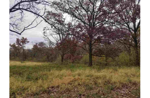 LOT 4 Ryan Rd, Platteville, WI 53818