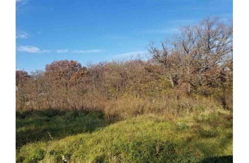 LOT 4 Ryan Rd, Platteville, WI 53818