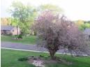 312 Country View Ct, Janesville, WI 53548
