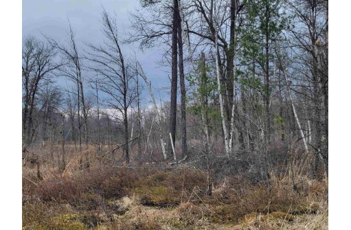 6 AC Wilderness Ct, Friendship, WI 53934