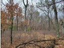 6 AC Wilderness Ct, Friendship, WI 53934