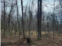 6 AC Wilderness Ct, Friendship, WI 53934