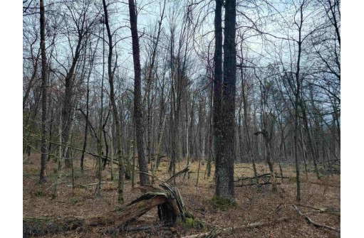 6 AC Wilderness Ct, Friendship, WI 53934