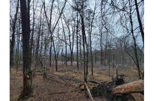 6 AC Wilderness Ct, Friendship, WI 53934