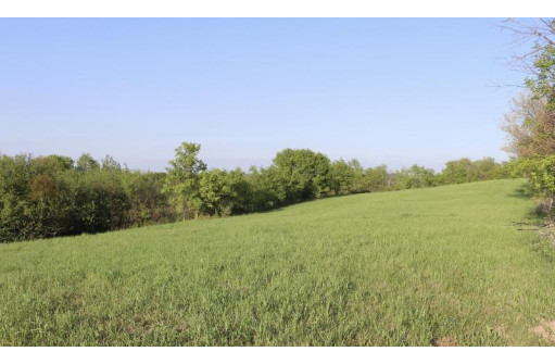 11.49AC Victory Ridge Rd, De Soto, WI 54624