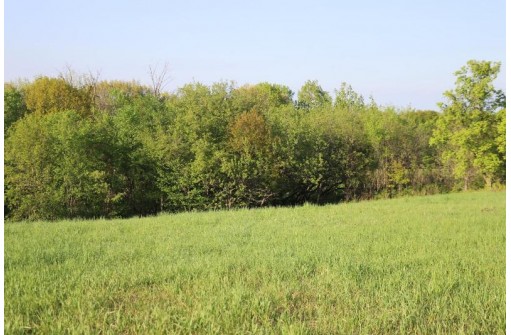 11.49AC Victory Ridge Rd, De Soto, WI 54624