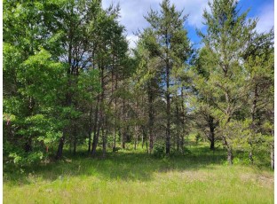 LOT 1 23rd St Necedah, WI 54646