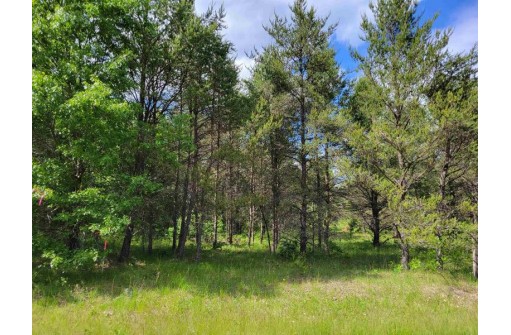 LOT 1 23rd St, Necedah, WI 54646