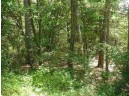 LOT 33 18th Ln, Montello, WI 53949-0000