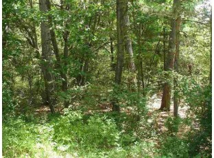 LOT 33 18th Ln Montello, WI 53949-0000