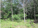 LOT 364-365 N Cypress Ln, Arkdale, WI 54613