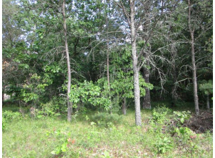 LOT 364-365 N Cypress Ln Arkdale, WI 54613