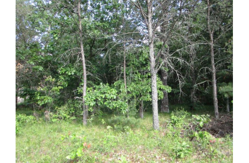 LOT 364-365 N Cypress Ln, Arkdale, WI 54613