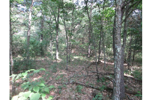 LOT 364-365 N Cypress Ln, Arkdale, WI 54613