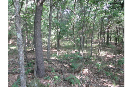 LOT 364-365 N Cypress Ln, Arkdale, WI 54613