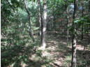 LOT 364-365 N Cypress Ln, Arkdale, WI 54613