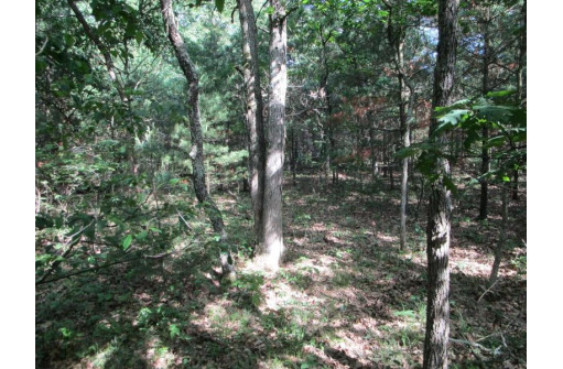 LOT 364-365 N Cypress Ln, Arkdale, WI 54613