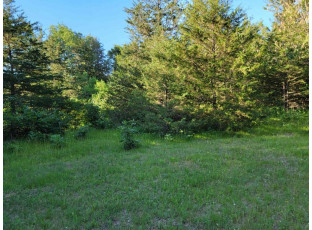 LOT 148 Buckhorn Rd Reedsburg, WI 53959