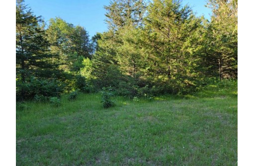 LOT 148 Buckhorn Rd, Reedsburg, WI 53959