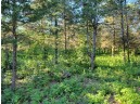 LOT 148 Buckhorn Rd, Reedsburg, WI 53959