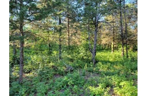 LOT 148 Buckhorn Rd, Reedsburg, WI 53959