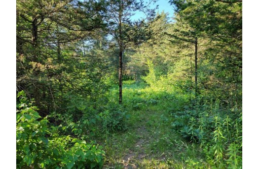 LOT 148 Buckhorn Rd, Reedsburg, WI 53959