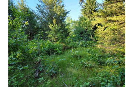 LOT 148 Buckhorn Rd, Reedsburg, WI 53959