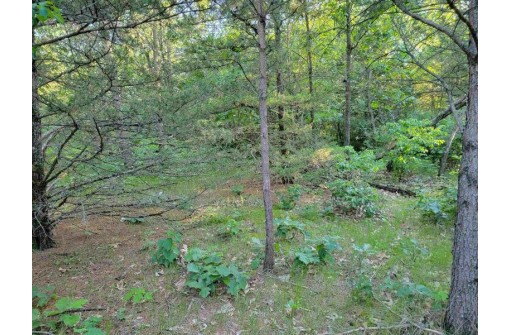 LOT 148 Buckhorn Rd, Reedsburg, WI 53959