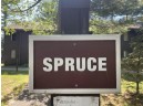 7 Spruce Tr, Wisconsin Dells, WI 53965