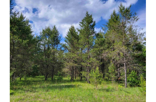 LOT 2 23rd St, Necedah, WI 54646