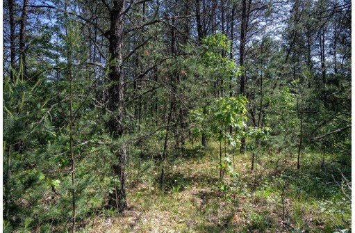 LOT 2 23rd St, Necedah, WI 54646