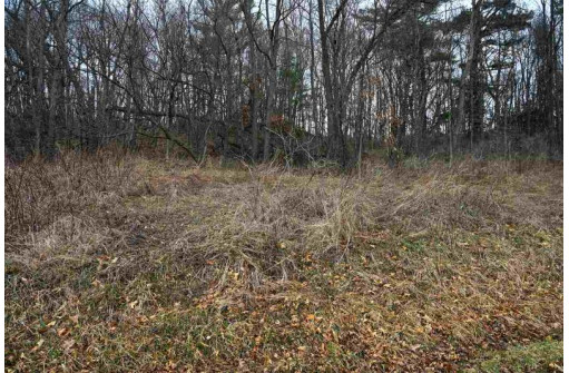 3.71 AC Franklin St, La Valle, WI 53941