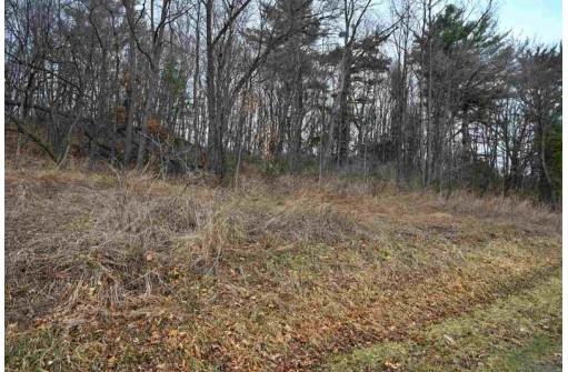 3.71 AC Franklin St, La Valle, WI 53941