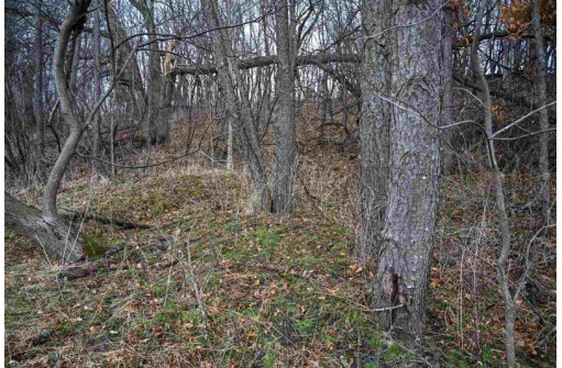 3.71 AC Franklin St, La Valle, WI 53941