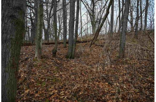 3.71 AC Franklin St, La Valle, WI 53941