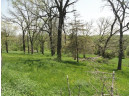 15.21 ACRES Fountain Bluff Ln, Platteville, WI 53818