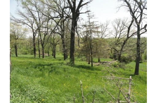 15.21 ACRES Fountain Bluff Ln, Platteville, WI 53818