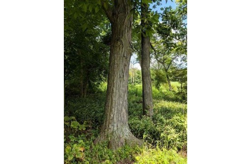 LOT 17 - 18 County Road J, New Glarus, WI 53574